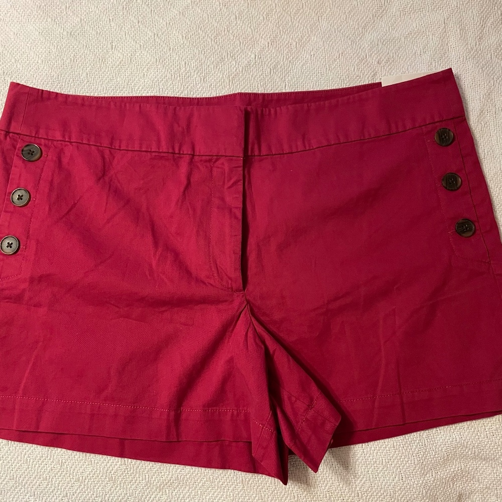 NWT Size 16 LOFT Outlet Women’s Shorts